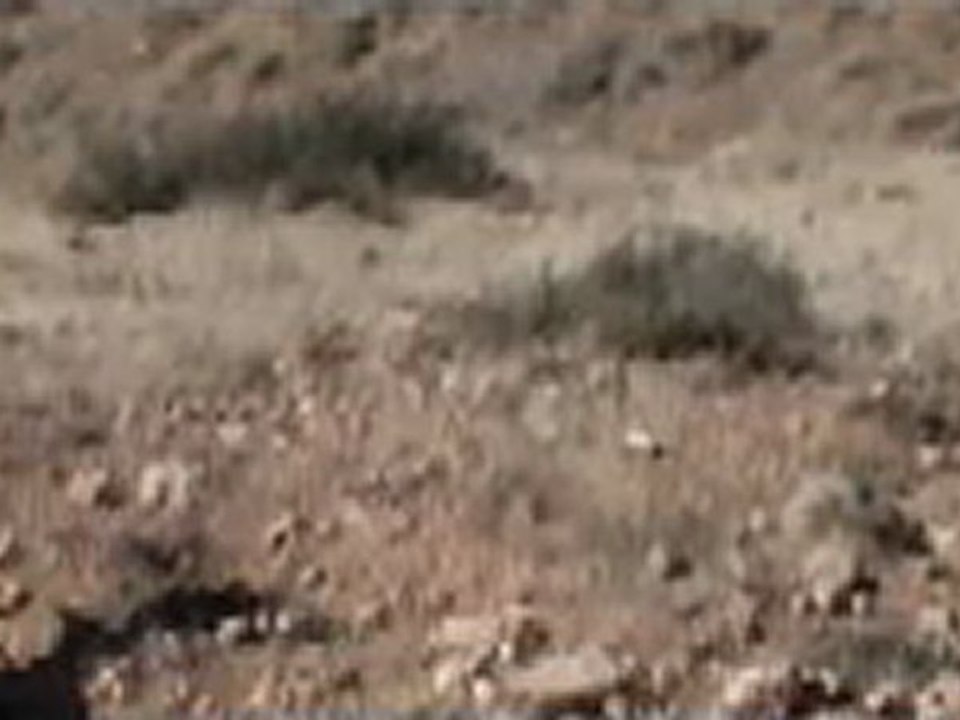 DSCF4096