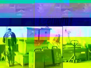 Rubén Borja, La Importancia Del Entrenamiento Canino En La Maduración De Los Perros