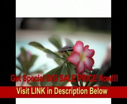 Canon EOS 7D DSLR Camera with 3 Canon Lens Pro Pack: Includes - Canon EF-S 18-55mm f3.5-5.6 IS - Canon EF-S 55-250mm f/4-5.6 IS Autofocus Lens - Canon EF 50mm f1.8 II Autofocus Lens, Also Includes Deluxe Carrying Case, 2 Extra Batteries & Travel Char