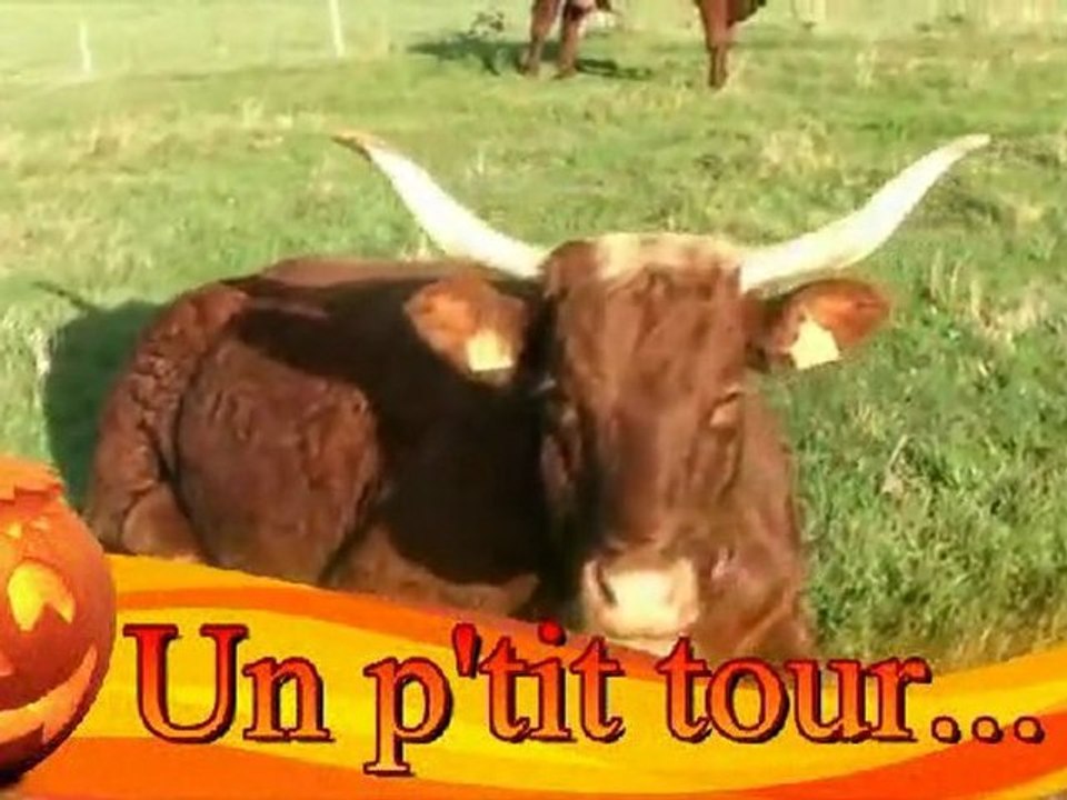 Un p'tit tour....