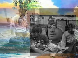 Melt Away by Brian Wilson