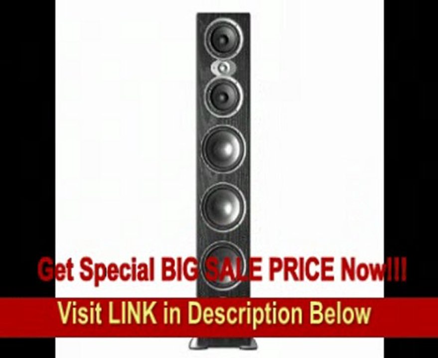 Polk Audio RTI A9 Floorstanding Speaker (Single, Black)