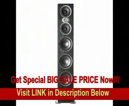 Polk Audio RTI A9 Floorstanding Speaker (Single, Black)