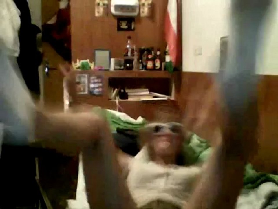 danse alicienne 4