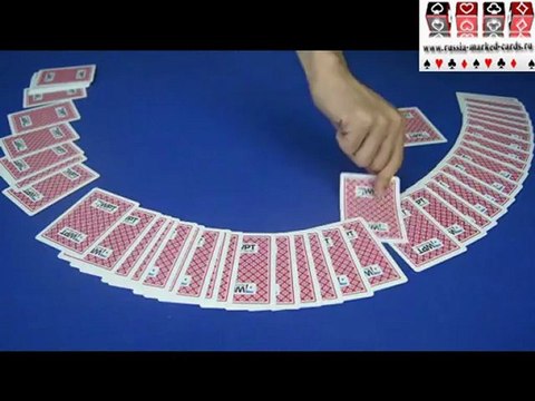 y-сканирующая система, сканер, анализатор,кубики