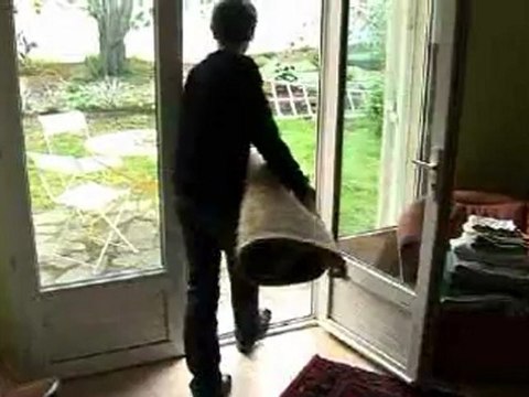 Allergie aux acariens : soyez vigilant !