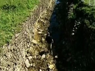 Утраченные миры. Паленки - столица Майя