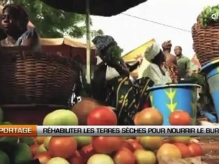 Réhabiliter les terres sèches pour nourrir le Burkina