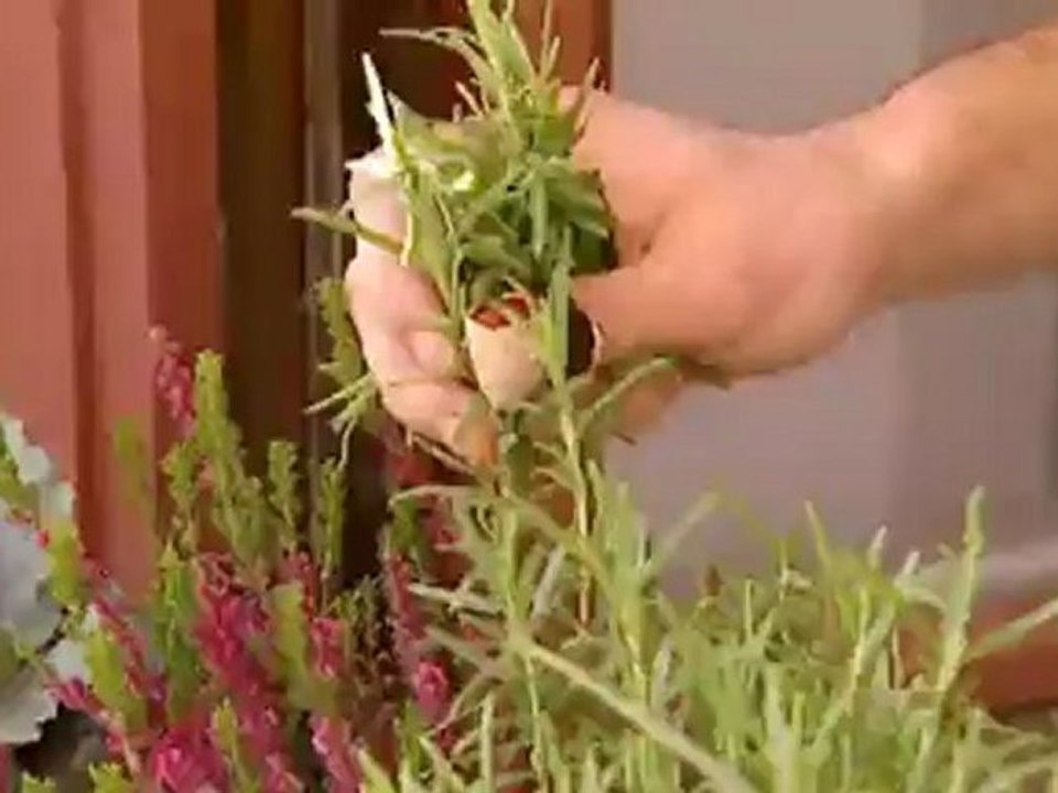 وجبة بافارية دسمة في الشتاء. | يوروماكس