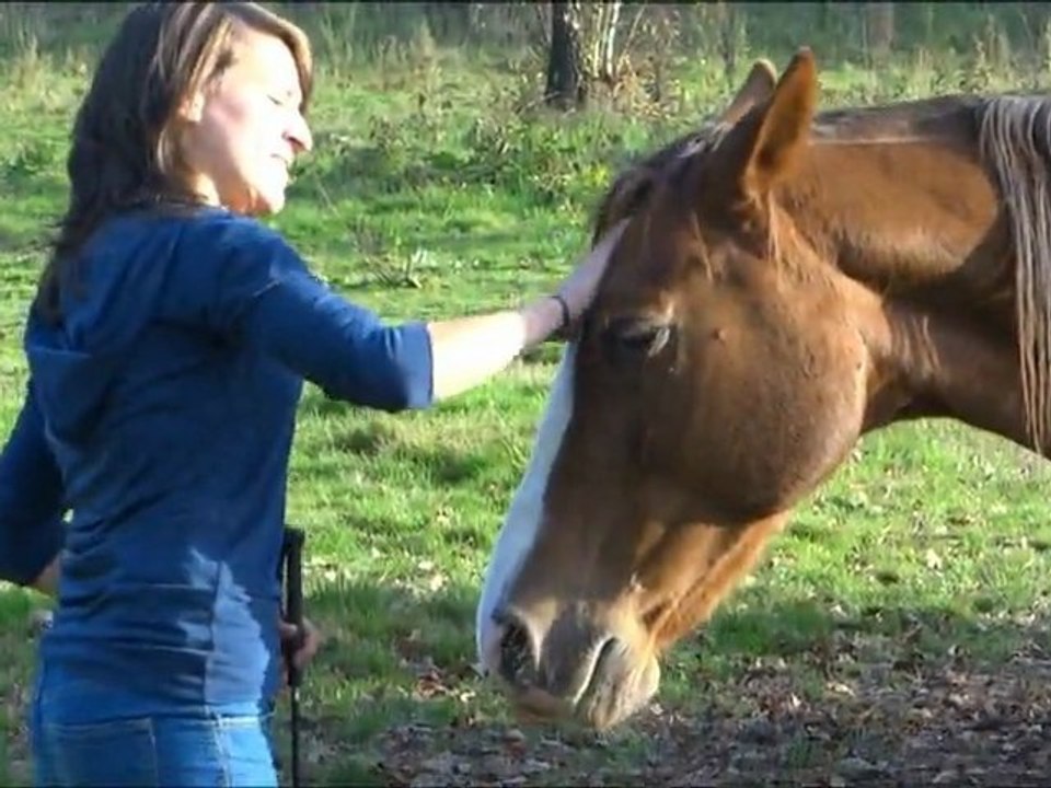 Folie, une belle leçon de vie...