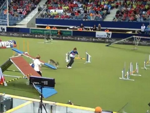 Vasgotaspet WC Agility 2012