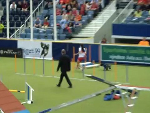 Schapendoes WC Agility 2012