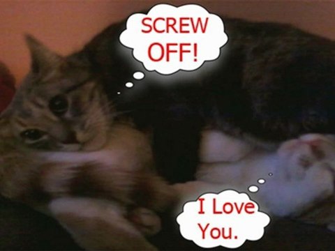 Sunday Vlog: Should alcohol become illegal....Again?