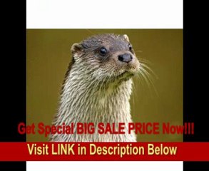 Sony SAL70300G 70-300mm f/4.5-5.6 SSM ED G-Series Compact Super Telephoto Zoom Lens