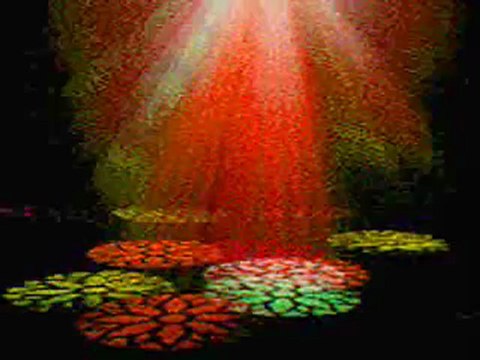 SeSLiGiRGiR.CoM aCıklamayı Okuyunuz , Ferdi Tayfur Huzurum Kalmadi REMIX