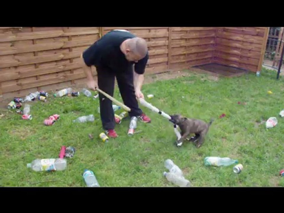La Horde d'Hadès, Berger Hollandais, Mondioring