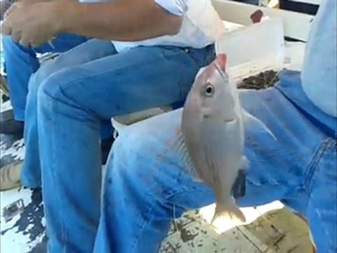 ismail kaptan ile kazıklıda balık avı tel.05334559097