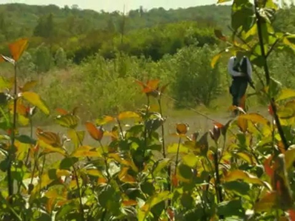 Bande annonce Black Wolf 2013