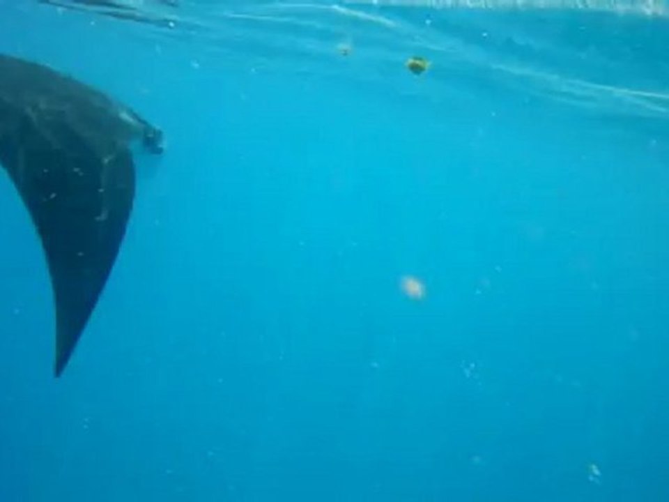 DSCF0255