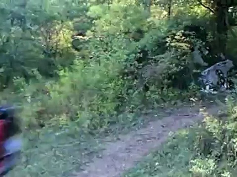 PA130700_mpeg2video