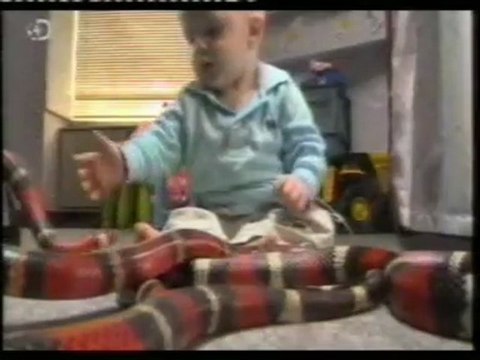 Psicologia infantil: Miedo aprendido a las serpientes (David Rakison)