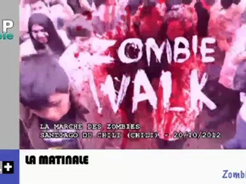 Zapping Actu du 25 Octobre 2012 - Un espadon saute sur un bateau, Arnaud Montebourg serait ridicule