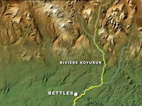 JE NE DEVRAIS PAS ETRE EN VIE - EN TERRITOIRE GRIZZLI