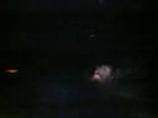 le dragon du chateau à disneyland