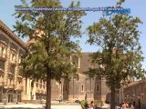 Movimento Studentesco Catanese - No Pagamento Spazi Dell'Università - News D1 Television TV