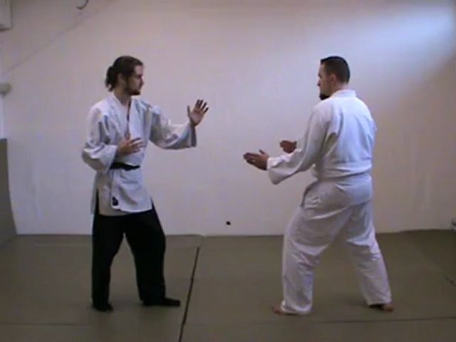 Goshin attaques frappes mains gr4