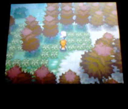 18eme partie du tuto pokemon blanc , Promenon nous dans les bois la Team plasma ne nous attrapera pas ..