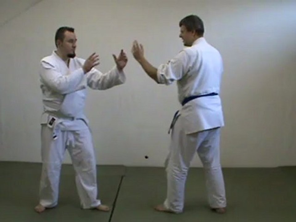 Ai hanmi katate dori (kosa dori)  to tsuki