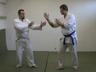 Gyaku hanmi kata dori to tsuki