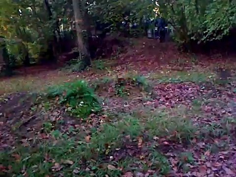 VID-20121024-00014