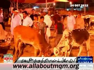 Ijtemai Qurbani Collective sacrifice in Karachi  - KKF initiative