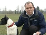 Anglia News Dog who only understands Polish & Norfolk Rock Star Alvin Stardust