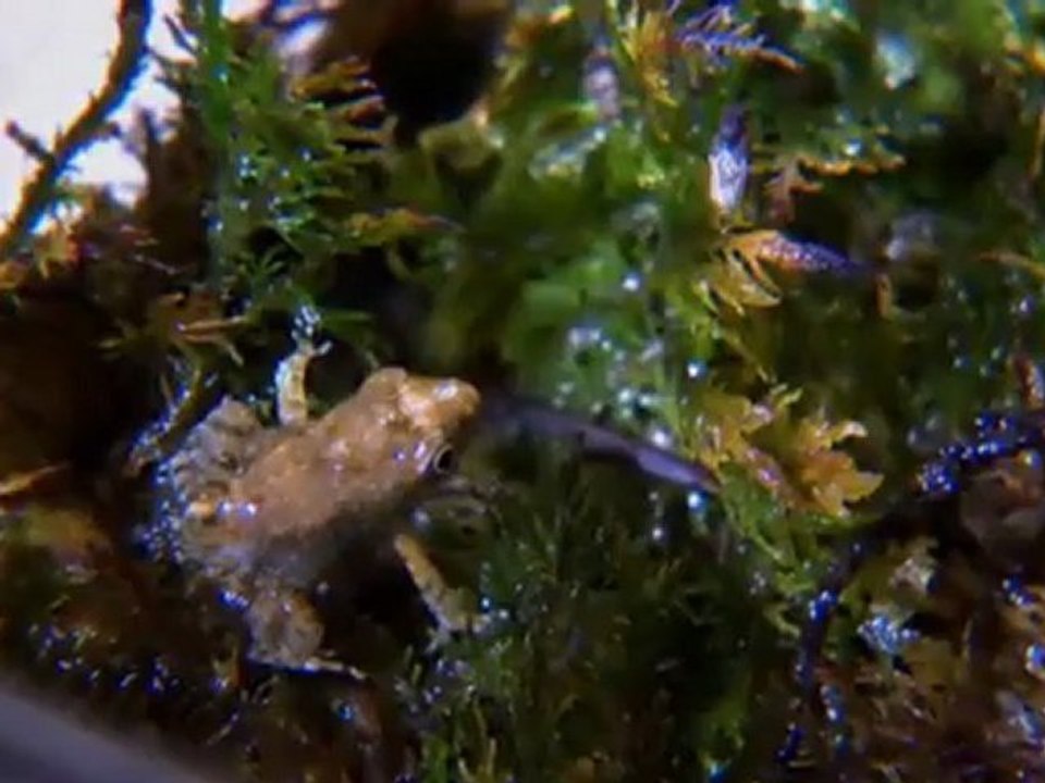 Prisma: Reportajes y documentales | Prisma