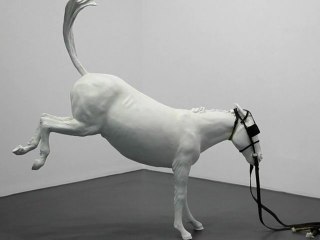 Adel Abdessemed, je suis innocent - Le cheval de turin, Also sprach Allah, du 3 octobre au 7 janvier 2012