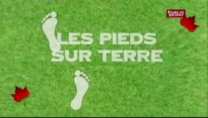 Les pieds sur terre: "Les cantines bio"