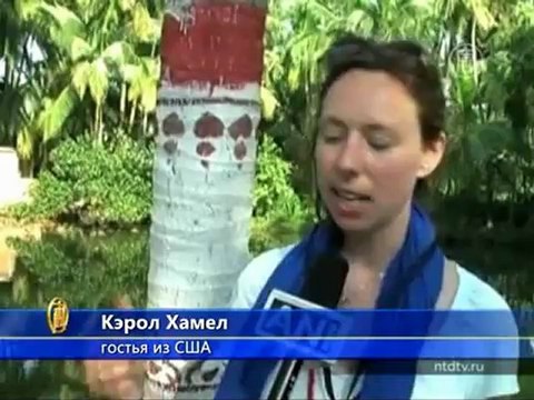 Европейцев учат рисовать индийские гравюры