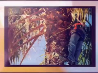 Best Cut Lawn Care - (254) 291-1334