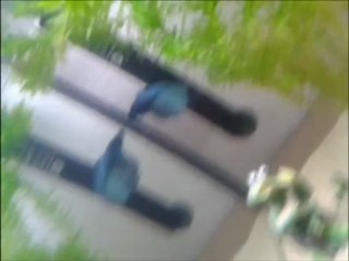 PARADE  DU COMBATTANT BUBULLE EN VERSION MUSIQUE SEXY SEXY