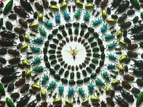 Frieze Art Fair 2012