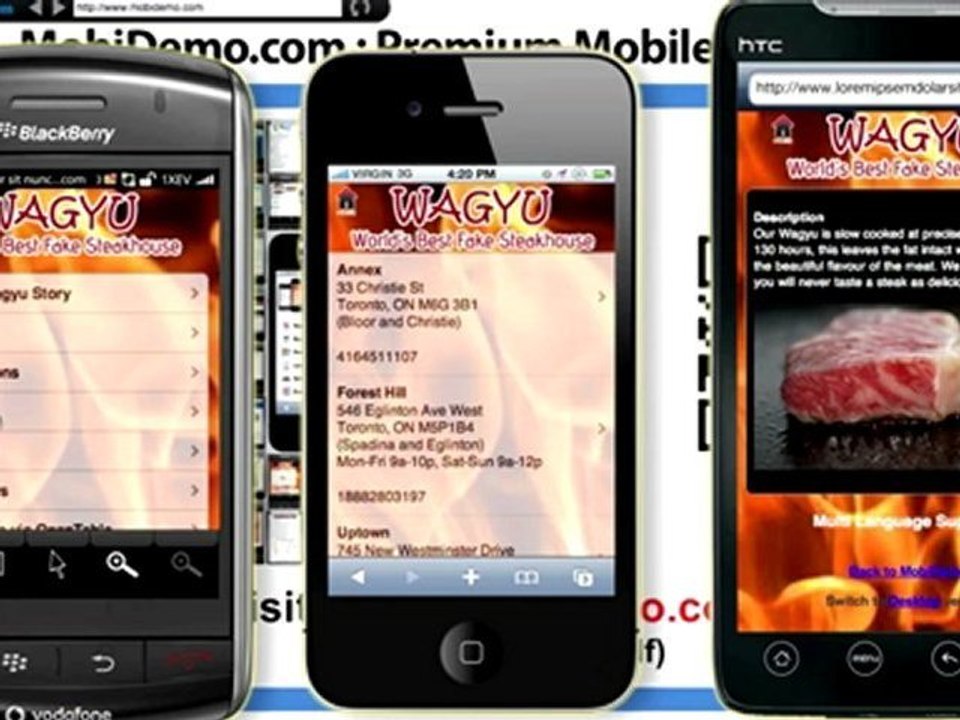 BrickandMobile Google Places Webinar Part 3