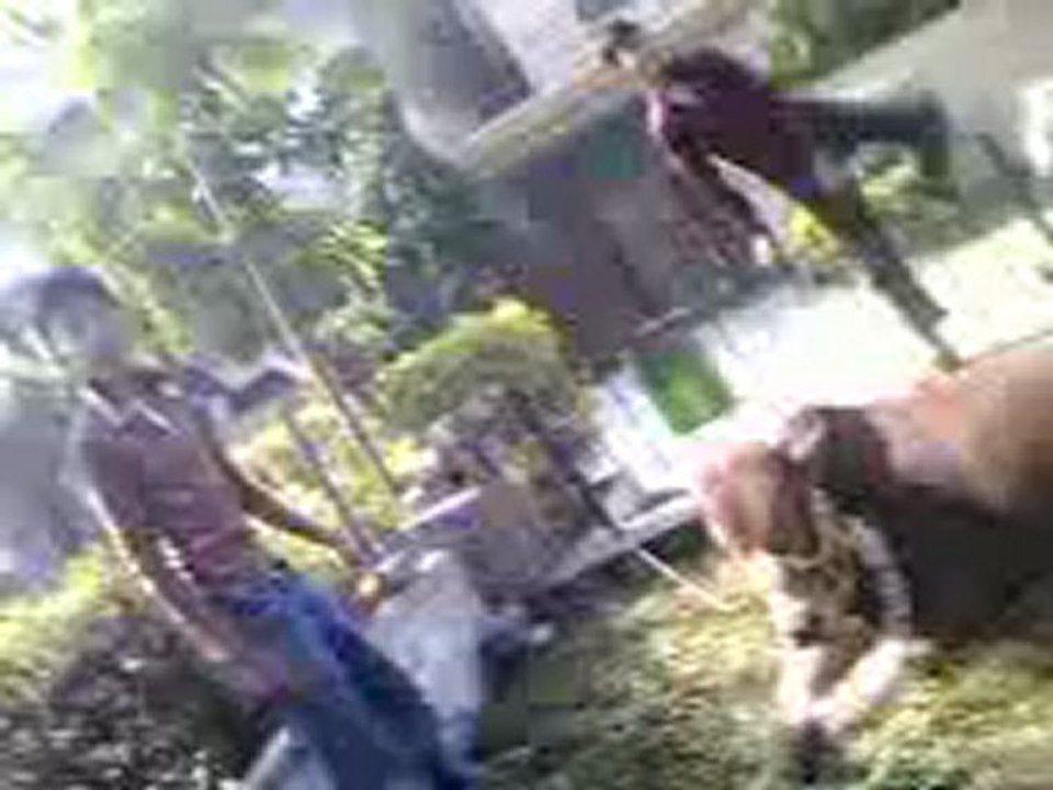 Fun on Eid-ul-Adha at larex colony Lahore.