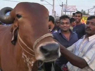 Muslims prepare for Eid al-Adha
