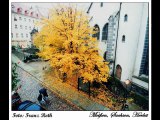 Autumn Impressions - Herbstimpressionen - Impressions d'Automne