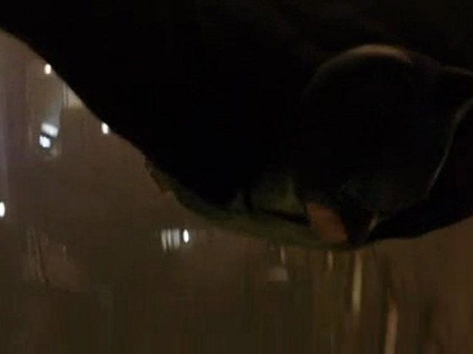 [Batman Begins] Entrée en fanfare