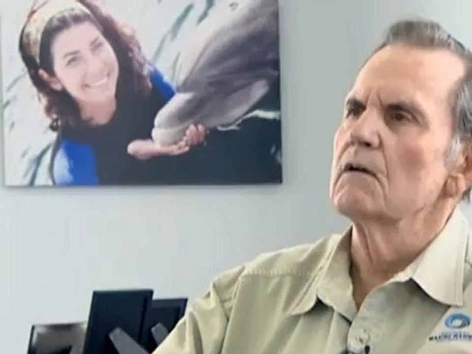 "Sprechender" Wal bringt Forscher zum Staunen