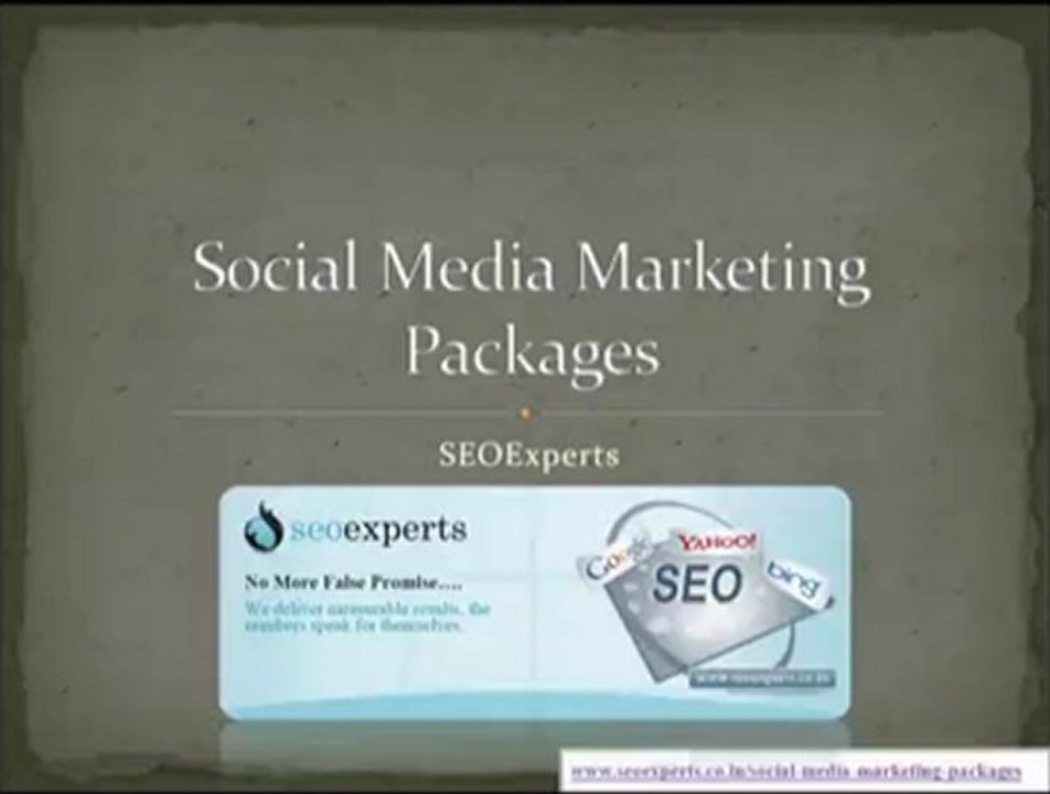 Social media marketing packages by SEOExperts